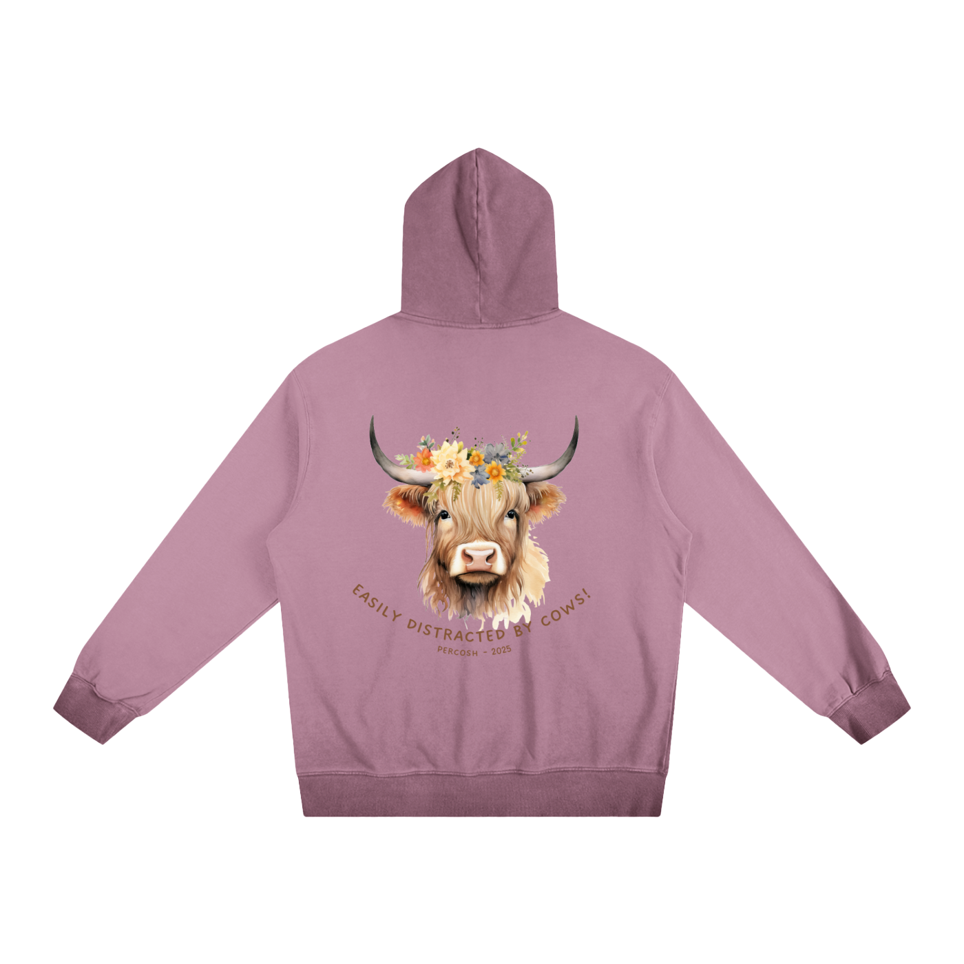 Ombre Stone Washed Colorpointed Hoodie