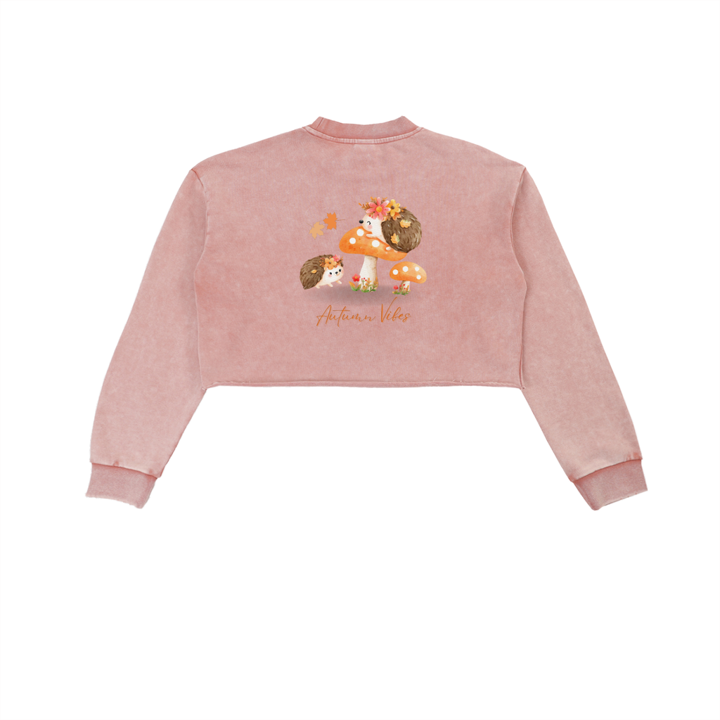Snow Washed Raw Edge Cropped Sweatshirt