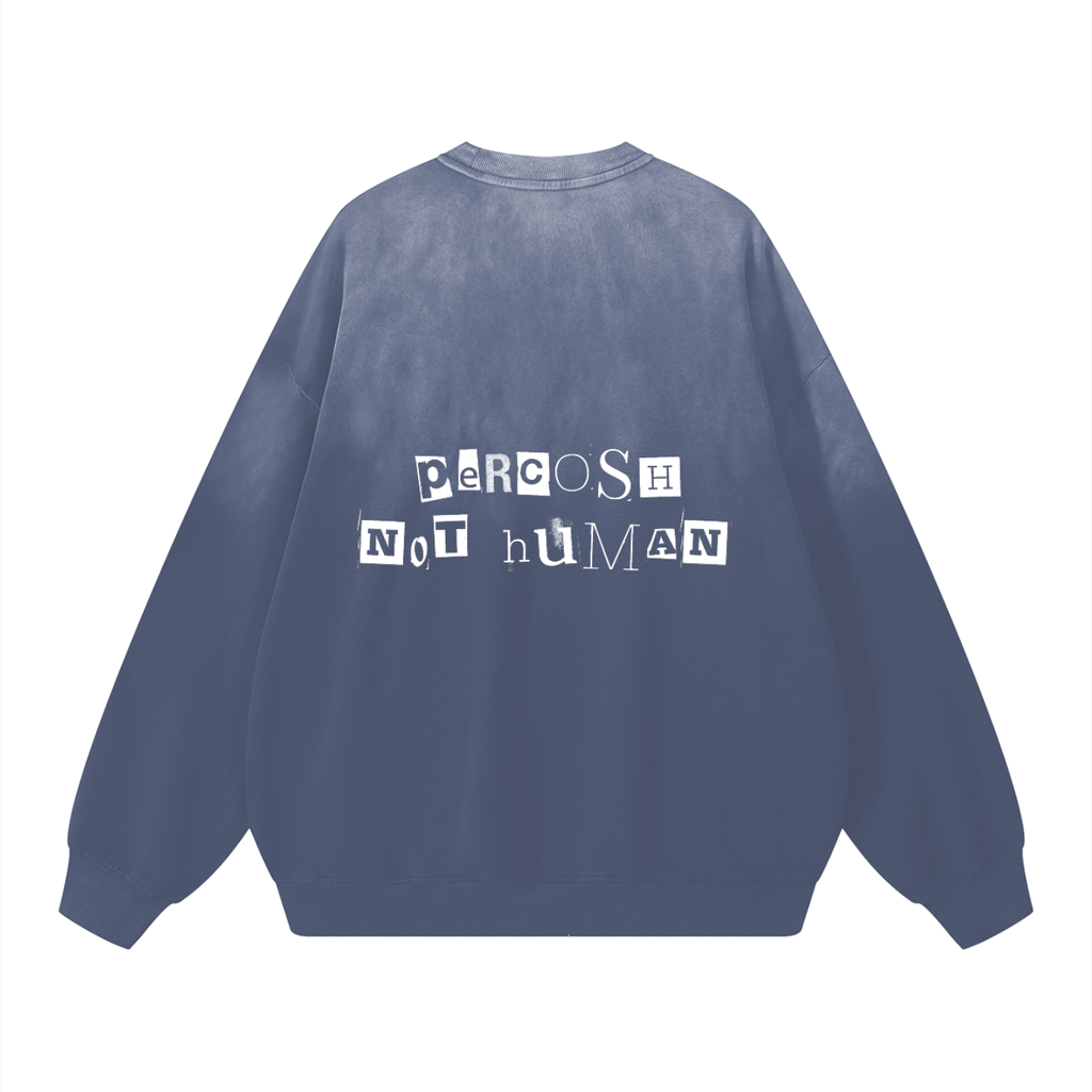 Sunfade Drop-Shoulder Cotton Sweatshirt